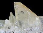 Gemmy, Twinned Calcite Crystal Cluster - Tennessee #64748-2